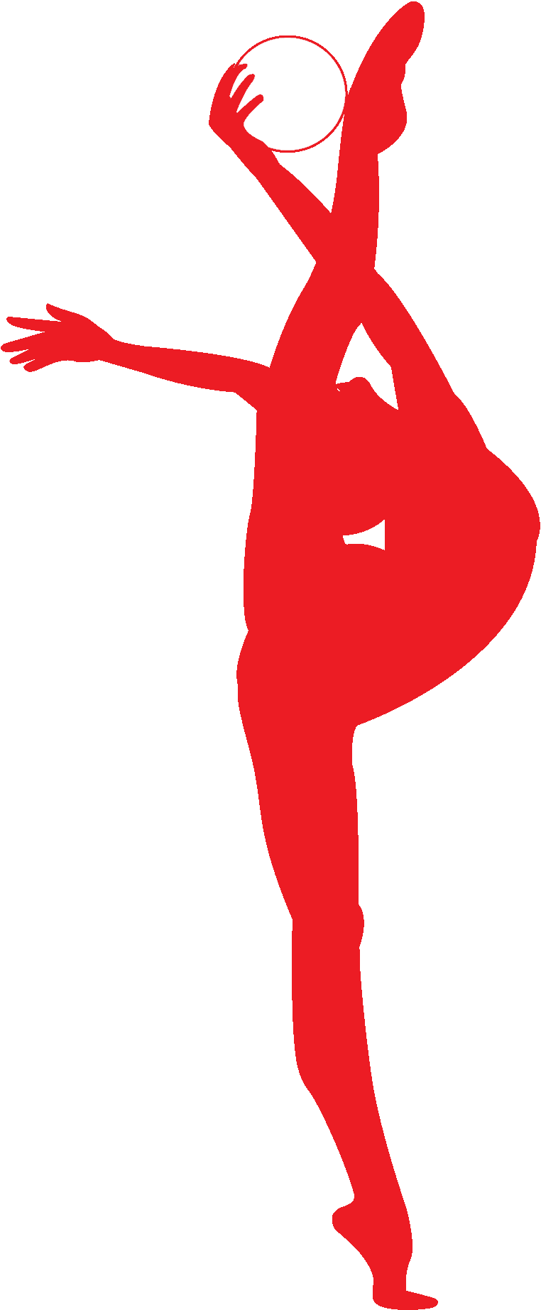 silhouette de rubrique